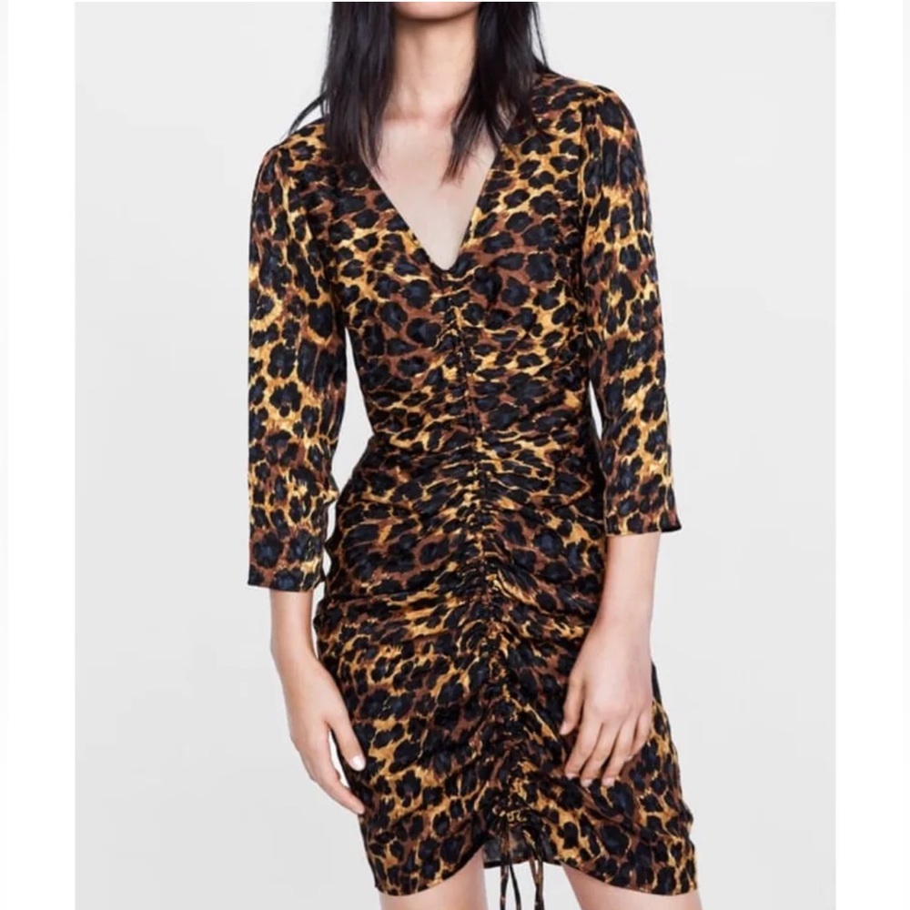 Zara Leopard dress